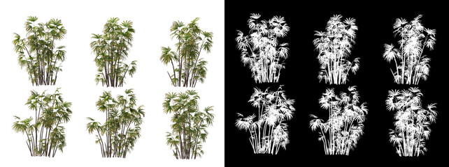 Many types of trees and flowers
