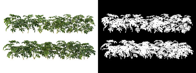 Obraz premium Many types of trees and flowers 