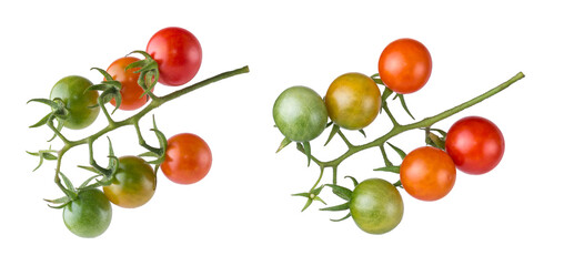 bunch of cherry tomatoes, set of red, yellow and green small round tomatoes with green stems isolated on white background