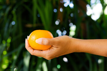 Oranges are fruits that are high in vitamin C. Background for banner Poster.