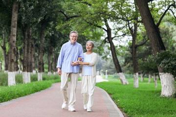 Happy old couple walking in the park