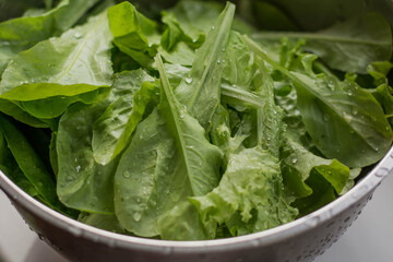 fresh spinach leaves