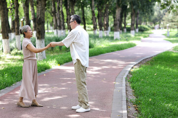 Happy old couple dancing in the park