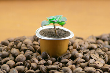 Capsule of coffee with green plant
