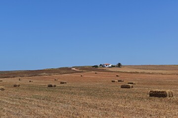 Obraz premium Idyllic rural countryside with isolated farmers house near Cabo Sao Vicente, Algarve, Portugal