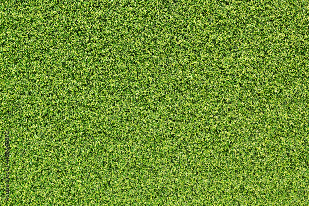 Canvas Prints top view green grass texture for background