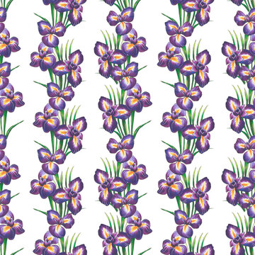 Seamless pattern with bright purple hand-drawn irises on a white background. This image can be used to create textiles, backgrounds, stationery and more.