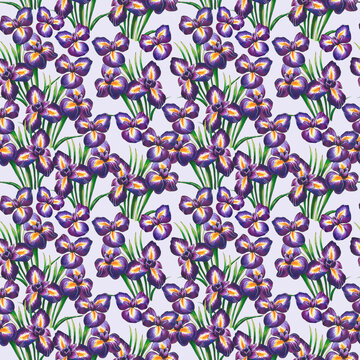 Seamless pattern with bright purple hand-drawn irises on a white background. This image can be used to create textiles, backgrounds, stationery and more.