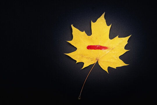 Yellow Maple Leaf On A Black Background With A Red Paint Mark On The Leaf