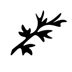 Cute hand drawn herbal elements. Decorative, botanical plant. Doodle for social media story. Black and white vector illustrations for holiday designs, wedding invitations, logo and greeting cards.