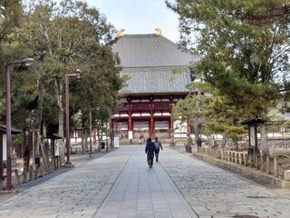 people walking on the street