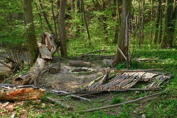 Camp site by the Juhyne River. Eastern Moravia. Europe. 