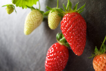 Obraz na płótnie Canvas Strawberries close up