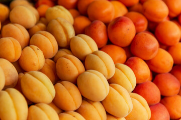 Lots of fresh juicy apricots on the market counter. Vitamins, healthy eating and veganism. Close-up. Background.