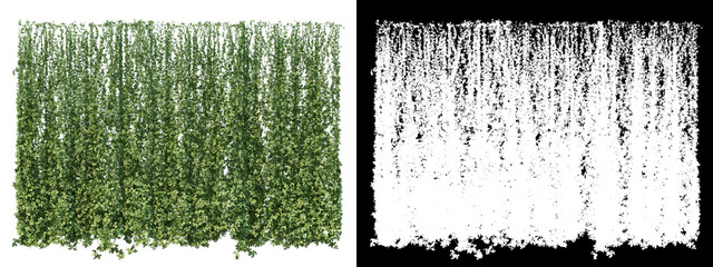 A wide variety of trees and shrubs
