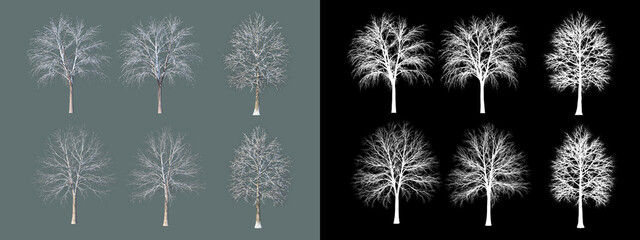 A wide variety of trees and shrubs
