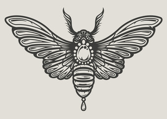 Vector illustration of a moth in decorative style