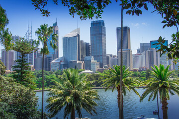 Fototapeta na wymiar Royal Botanic Garden Sydney. Palms and downtown skyscrapers Sydney Australia