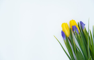 bouquet of irises and tulips on a white background