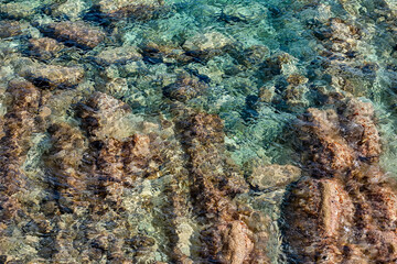 Fototapeta na wymiar Coast of the Adriatic Sea. Montenegro