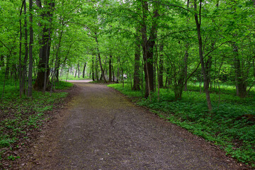 Gravel path in the spring Park of the old manor
