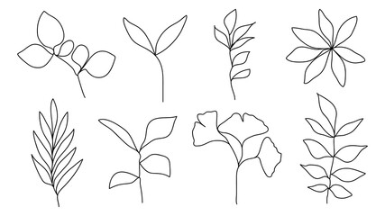 One line continuous of leaves, botanical plant set isolated, simple art design, abstract
