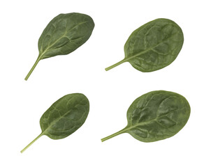 Spinach isolated on white background. Close up