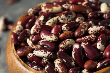 Raw Red Organic Cattle Kidney Beans