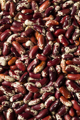 Raw Red Organic Cattle Kidney Beans