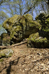 Fototapeta na wymiar Felsenlabyrinth unterhalb der Ruine der Nordburg Lichtenstein in Lichtenstein, Naturpark Haßberge, Landkreis Hassberge, Unterfranken, Franken, Bayern, Deutschland