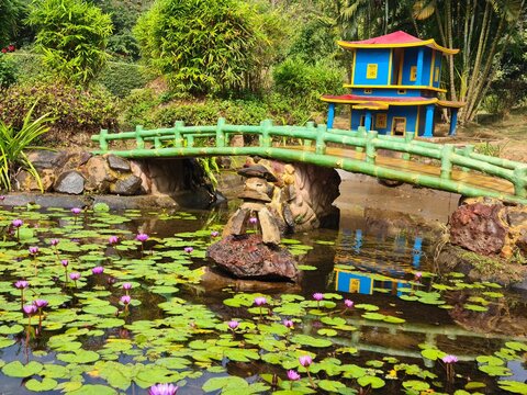 japanese garden with bridge - Nandankanan