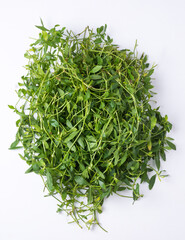 bunch of dwarf copperleaf or sessile joyweed leaves on a white surface, leafy vegetable ready to cook, closeup of herbal plant