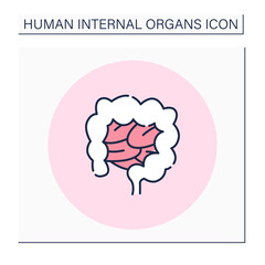 Intestines color icon. Gastrointestinal tract part. Digestive system. Medical treatment. Body parts. Human internal organs concept.Isolated vector illustration