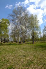 NSG Grettstädter Riedwiesen, Landkreis Schweinfurt, Unterfranken, Bayern, Deutschland