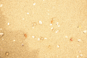 Vintage and retro toning of tropical beach with blue sky and clear sea which including of a wooden umbrella and chair in sunrise time with vintage retro tone. Vacation time as concept.