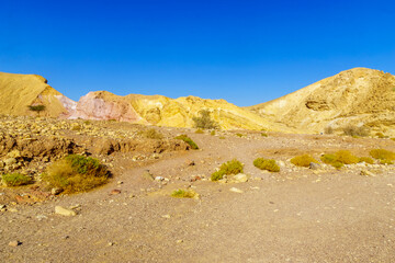 Nahal Shani (desert valley). Eilat Mountains