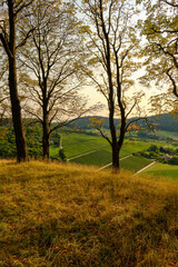 Landschaft und Weinberge rings um den Weinort Castell, Landkreis Kitzingen, Unterfranken, Bayern, Deutschland