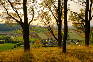 Fototapeta na wymiar Landschaft und Weinberge rings um den Weinort Castell, Landkreis Kitzingen, Unterfranken, Bayern, Deutschland
