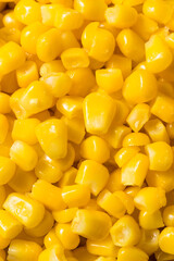 Homemade Organic Steamed Yellow Sweet Corn