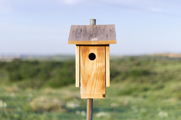 Bird house on pole against background of blue sky and green grass medow. Wooden birdhouse photo....