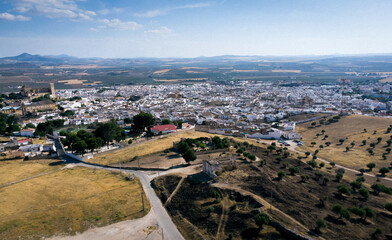 Panoramic drone photo of Osuna, Seville and a field of olive trees