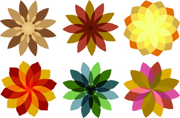 Obraz premium Autumn geometric figure flowers vector illustration