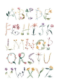Botanical alphabet watercolor illustration wildflowers letters