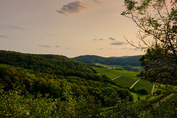 Landschaft und Weinberge rings um den Weinort Castell, Landkreis Kitzingen, Unterfranken, Bayern, Deutschland