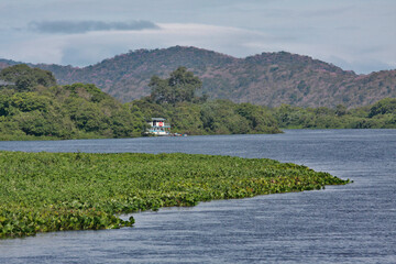 Pantanal