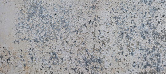 Fototapeta premium Rough wall texture with peeling paint. Gray background, grunge.