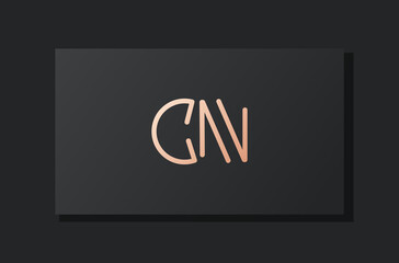 Abstract luxury initial letter CN logo.