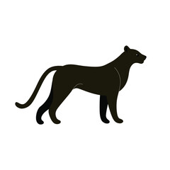 Cute panther - cartoon animal character. Vector illustration in flat style isolated on white background.