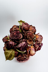 rosas rojas marchitas