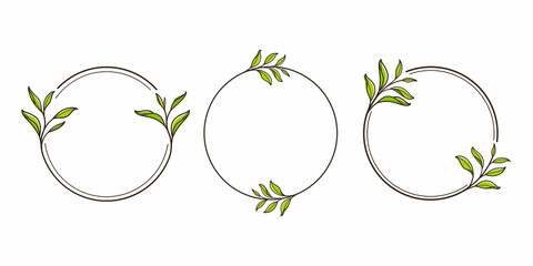 Round botanical frame element with green tea. Simple contour vector illustration for packaging, corporate identity, labels, postcards, invitations.